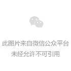 职业球员参加篮球集训的意义是什么?